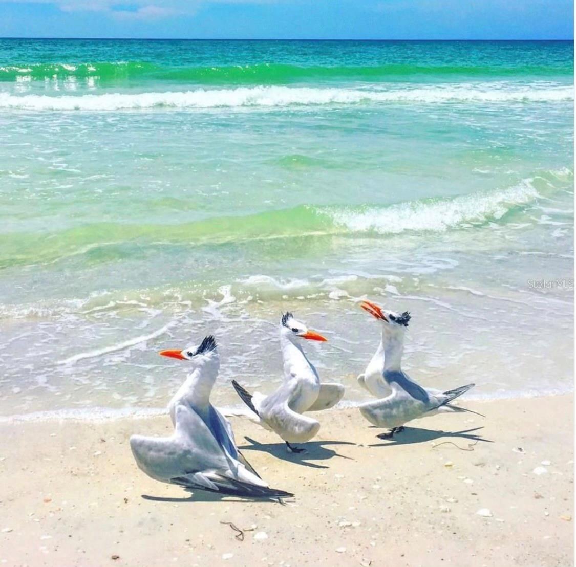 6750 GULF OF MEXICO DR #151, LONGBOAT KEY, FL, 34228