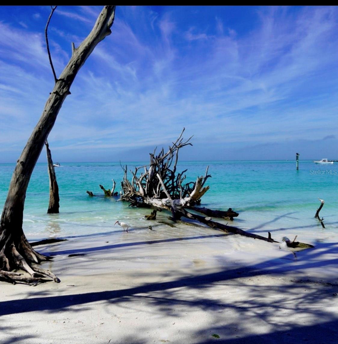 6750 GULF OF MEXICO DR #151, LONGBOAT KEY, FL, 34228