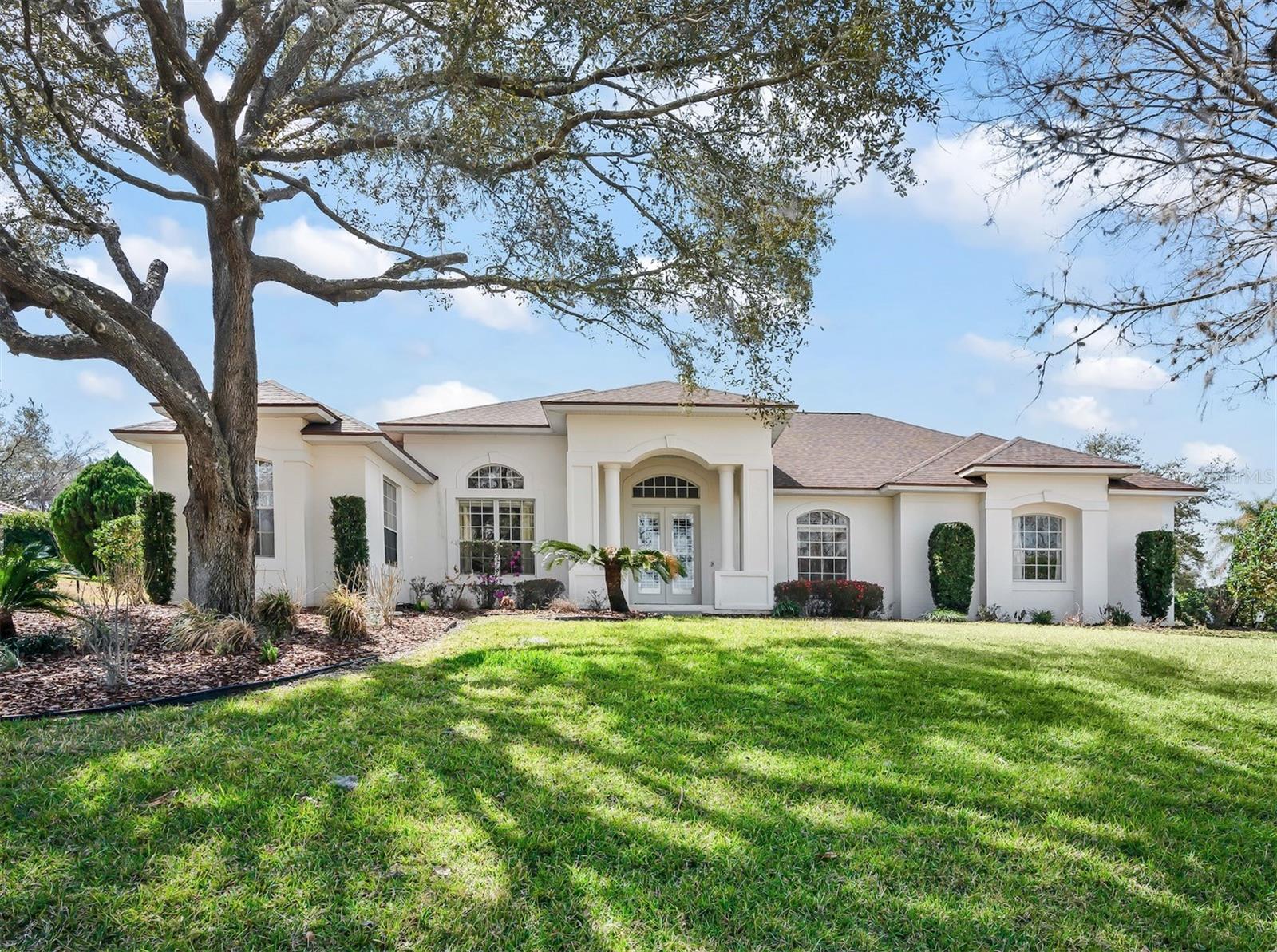 39407 TREELINE DR, LADY LAKE, FL, 32159