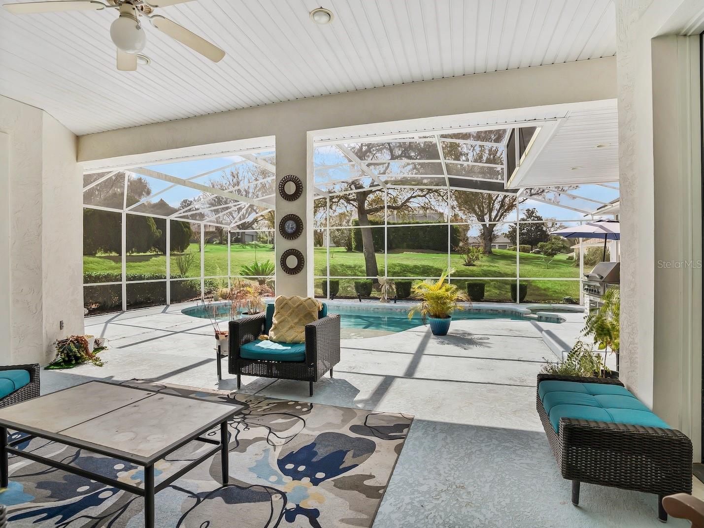 39407 TREELINE DR, LADY LAKE, FL, 32159