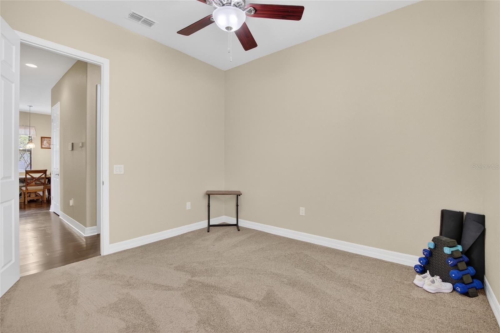6870 SHIMMERING DR, LAKELAND, FL, 33813