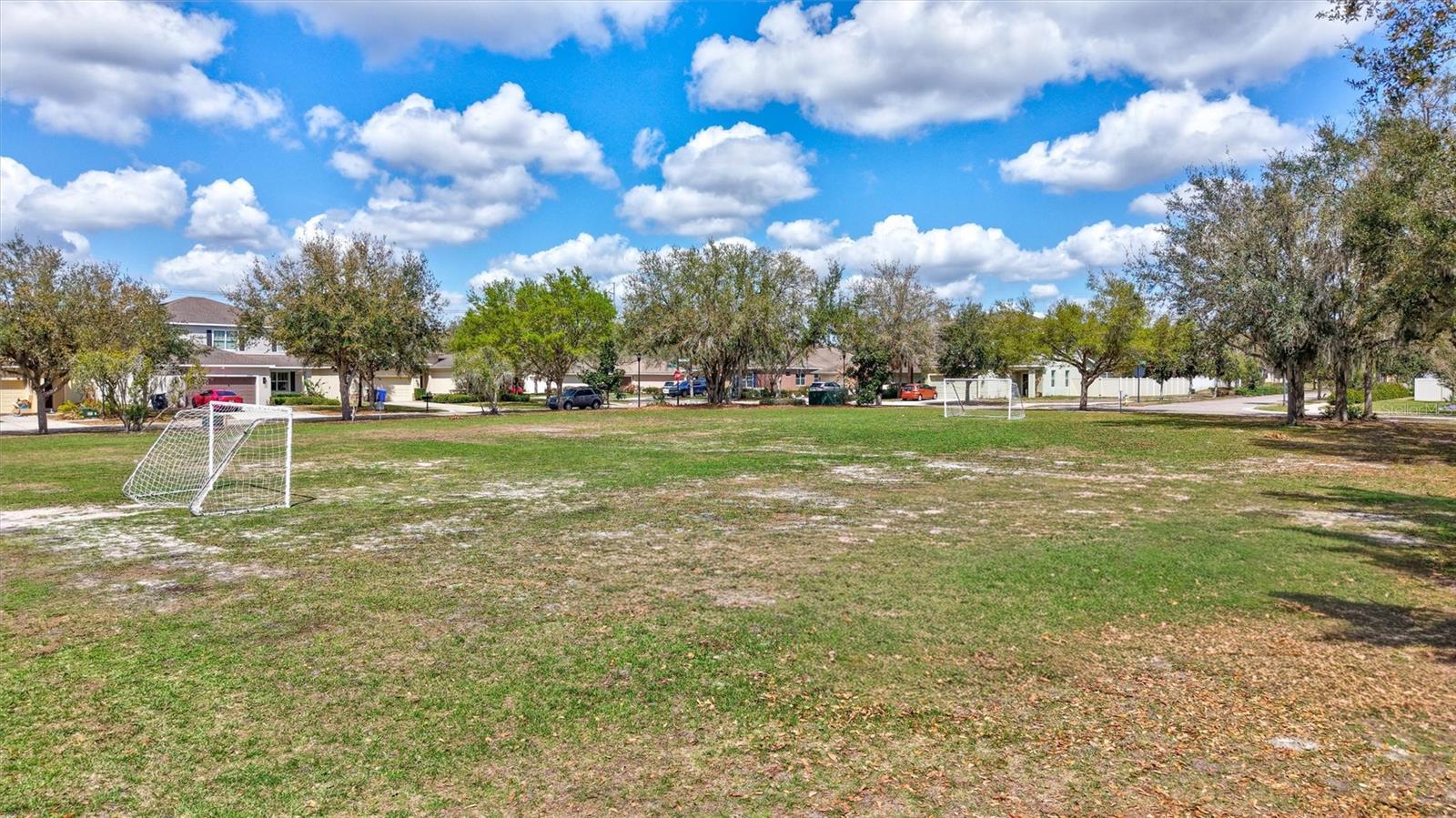 11431 COVENTRY GROVE CIR, LITHIA, FL, 33547