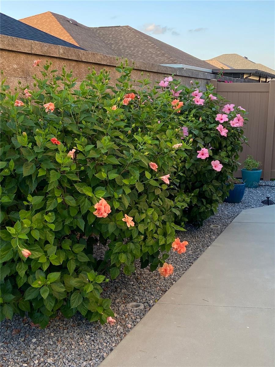 5840 UNGER CT, THE VILLAGES, FL, 32163