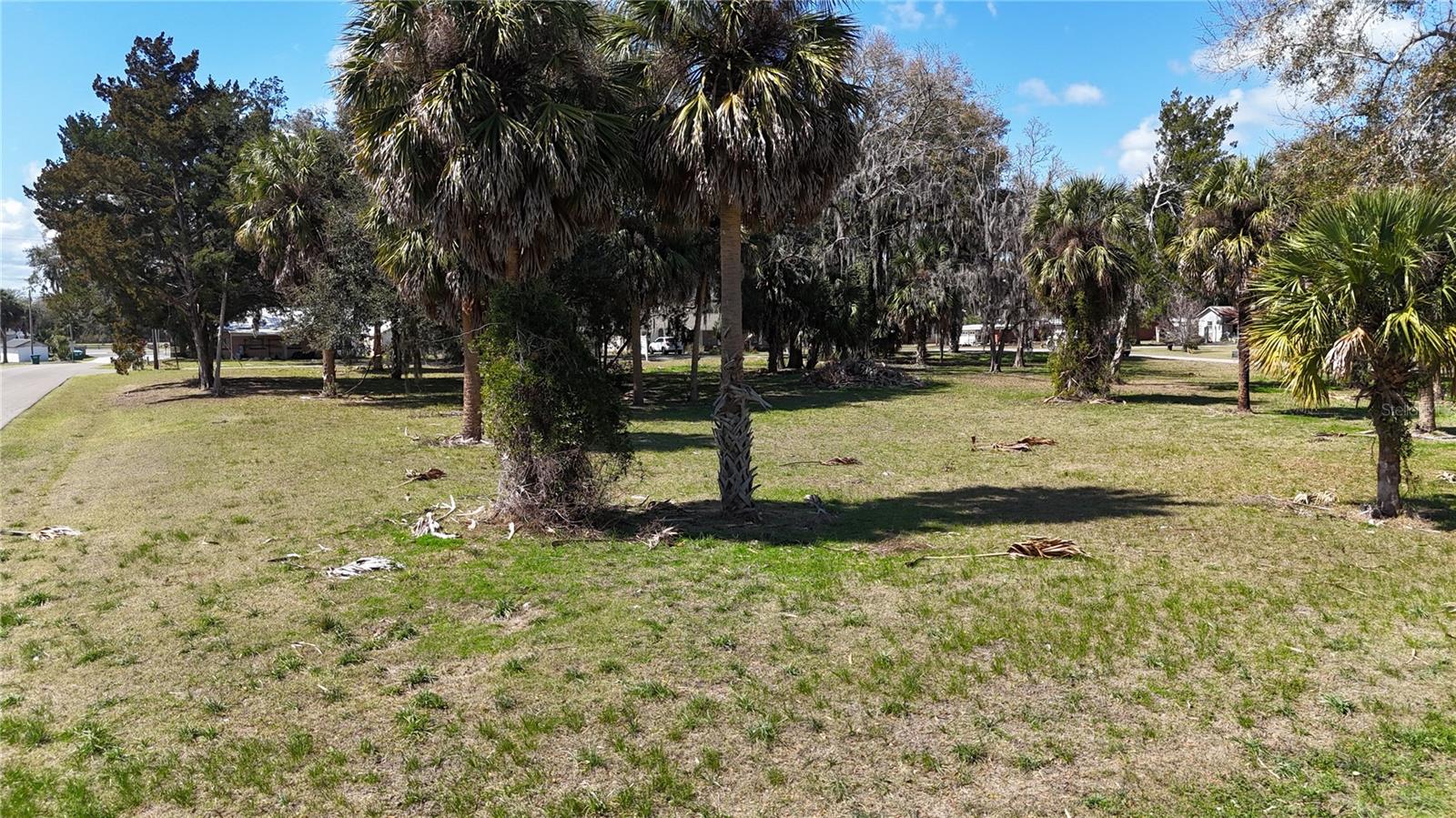 TBD SW HOUSTON AVE, BRANFORD, FL, 32008