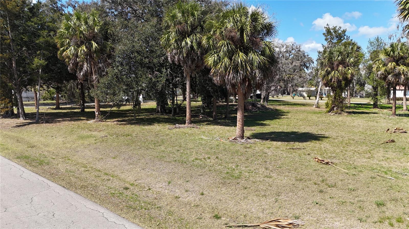 TBD SW HOUSTON AVE, BRANFORD, FL, 32008