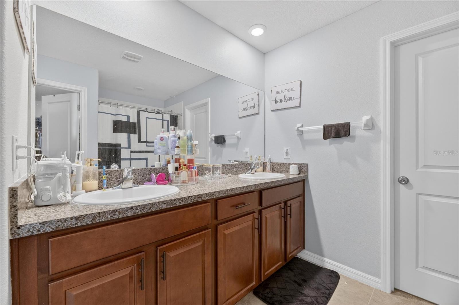 10022 ROSE PETAL PL, RIVERVIEW, FL, 33578