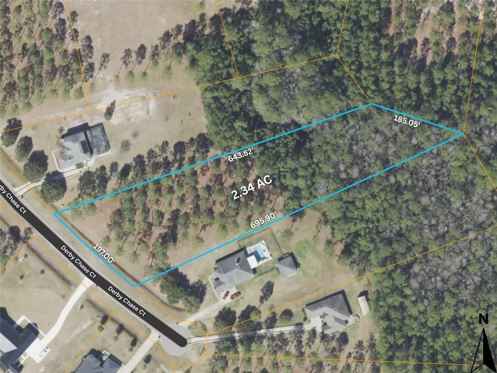 11007 DERBY CHASE CT, JACKSONVILLE, FL, 32219