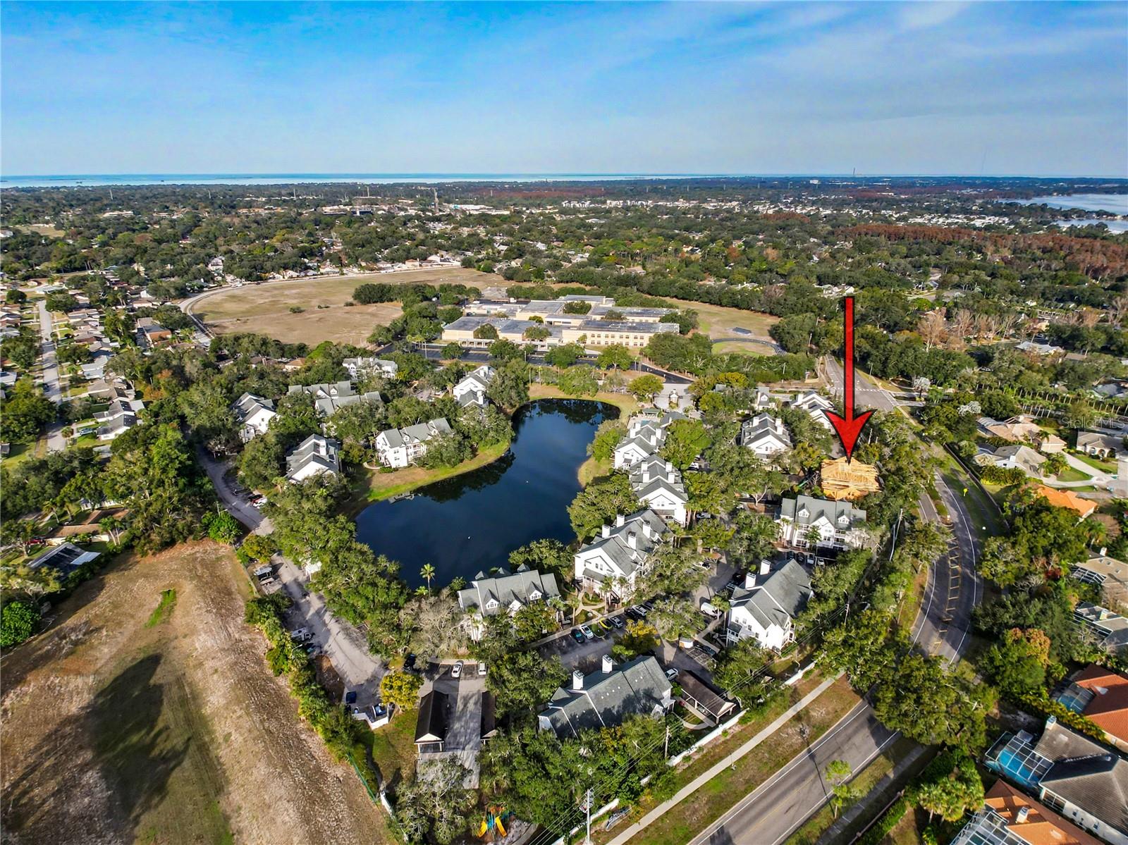 3313 HAVILAND CT #103, PALM HARBOR, FL, 34684