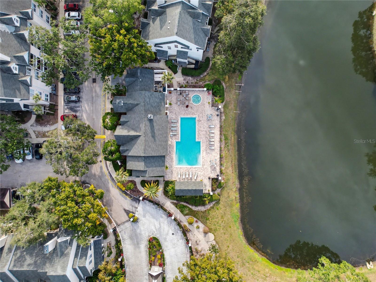 3313 HAVILAND CT #103, PALM HARBOR, FL, 34684