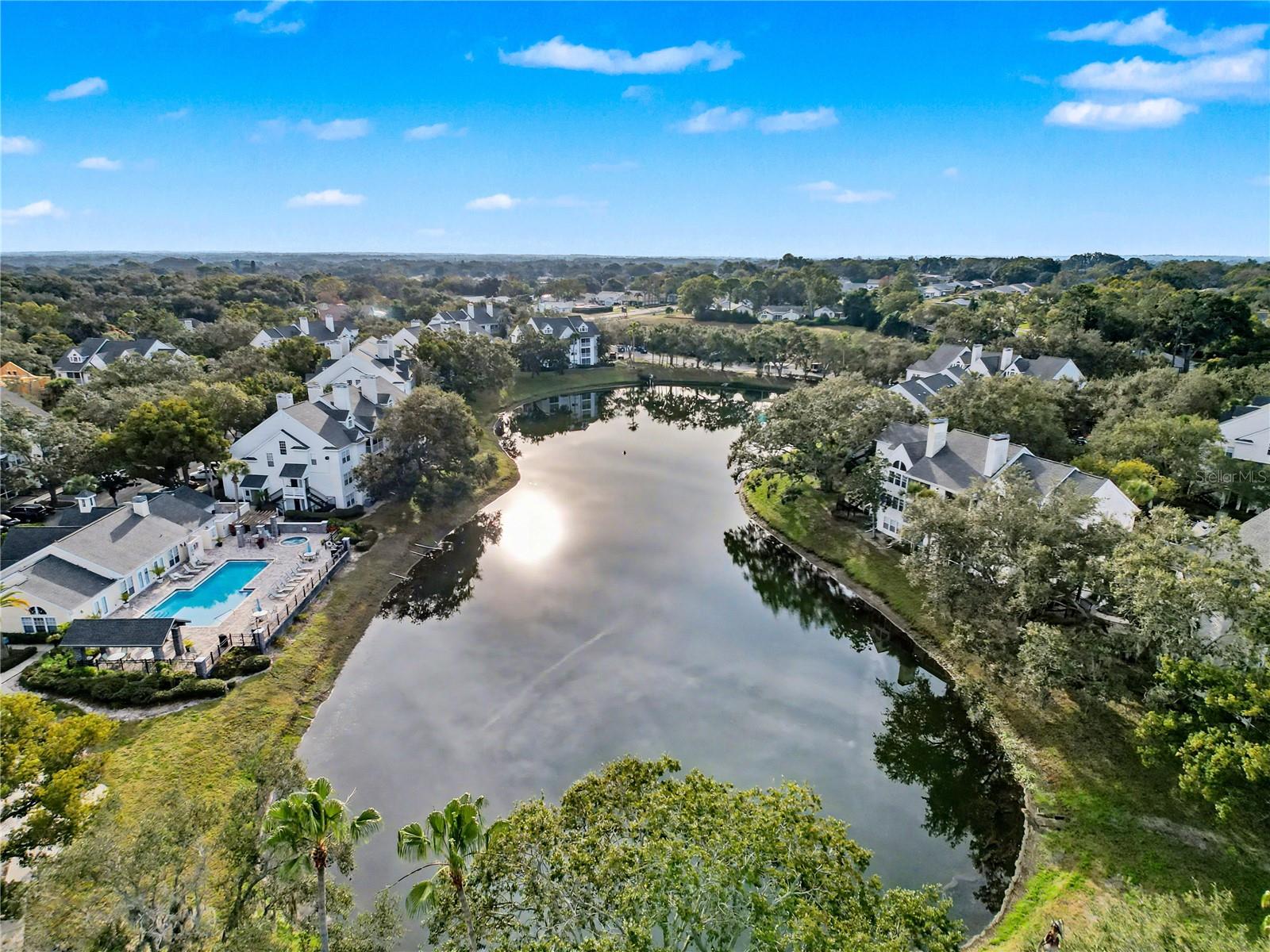 3313 HAVILAND CT #103, PALM HARBOR, FL, 34684