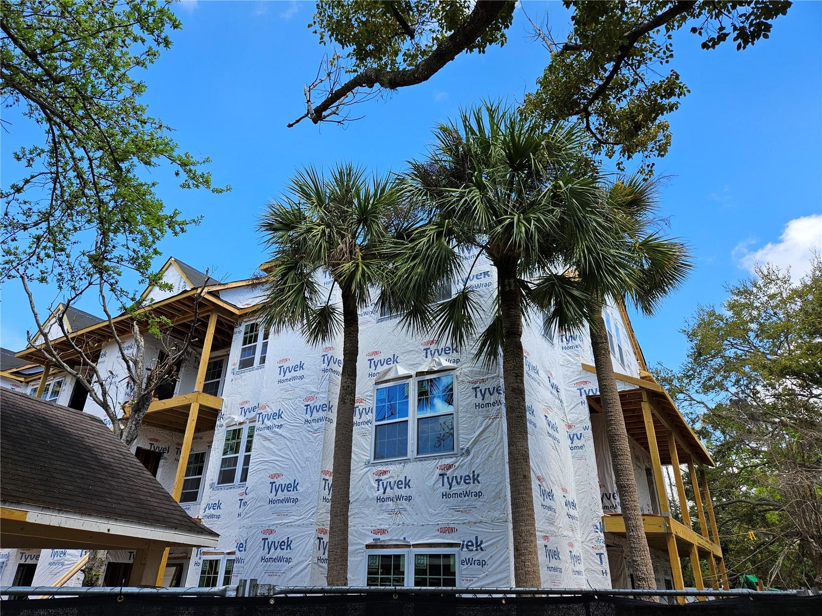 3313 HAVILAND CT #103, PALM HARBOR, FL, 34684