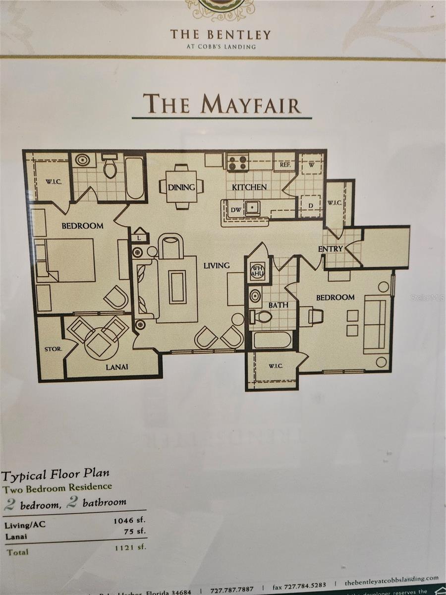 3313 HAVILAND CT #103, PALM HARBOR, FL, 34684