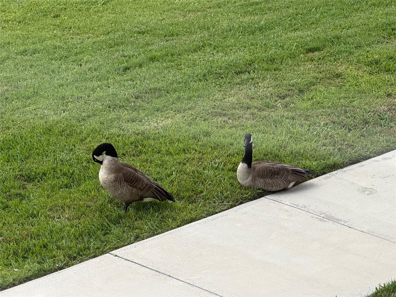 6444 7TH AVENUE CIR W #6444, BRADENTON, FL, 34209