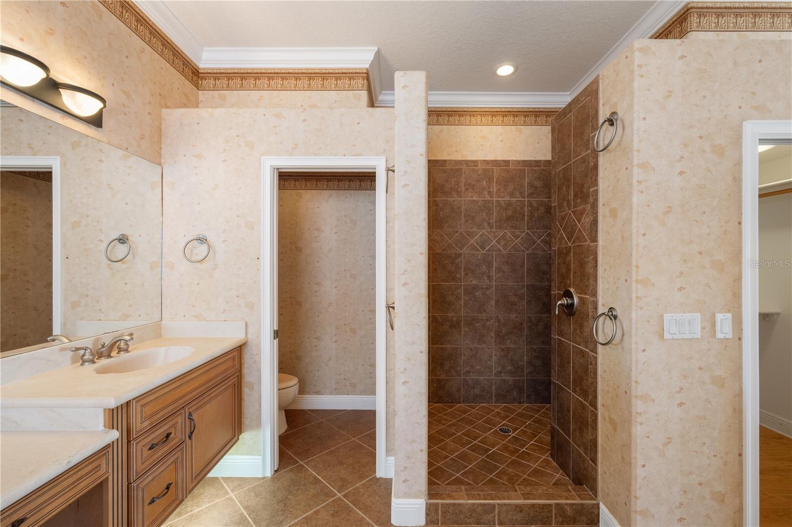 8119 VIA ROSA, ORLANDO, FL, 32836