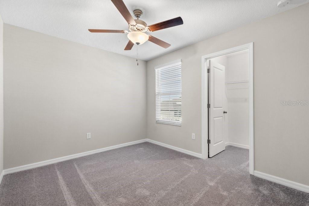 5245 WHITE CHICORY DR, APOLLO BEACH, FL, 33572