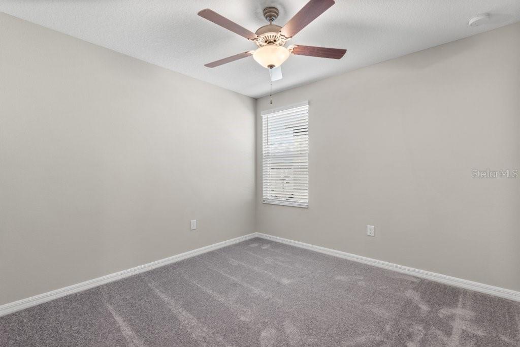 5245 WHITE CHICORY DR, APOLLO BEACH, FL, 33572