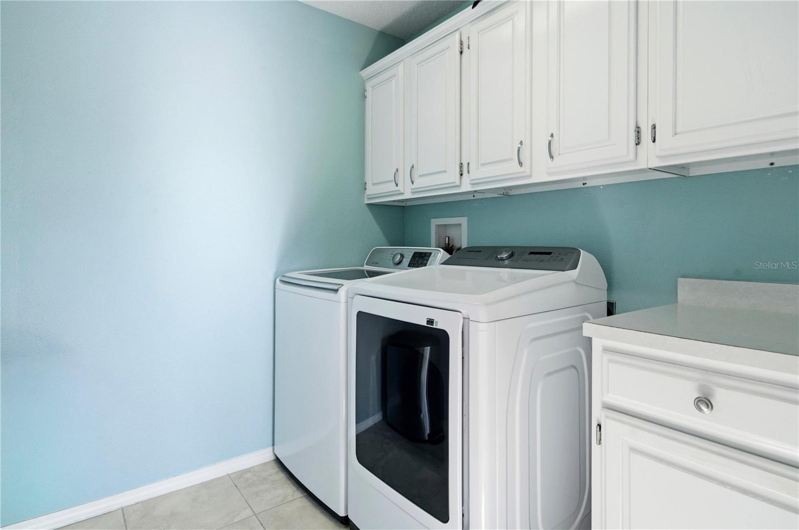 30106 CHEVAL ST, MOUNT DORA, FL, 32757