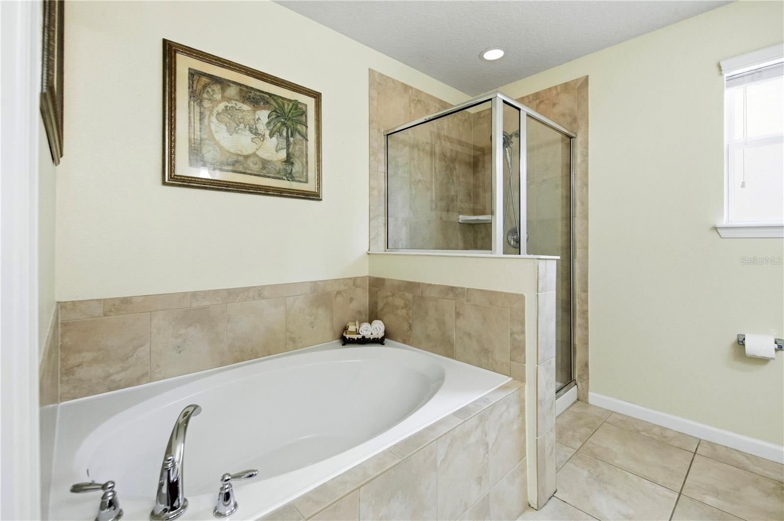 30106 CHEVAL ST, MOUNT DORA, FL, 32757