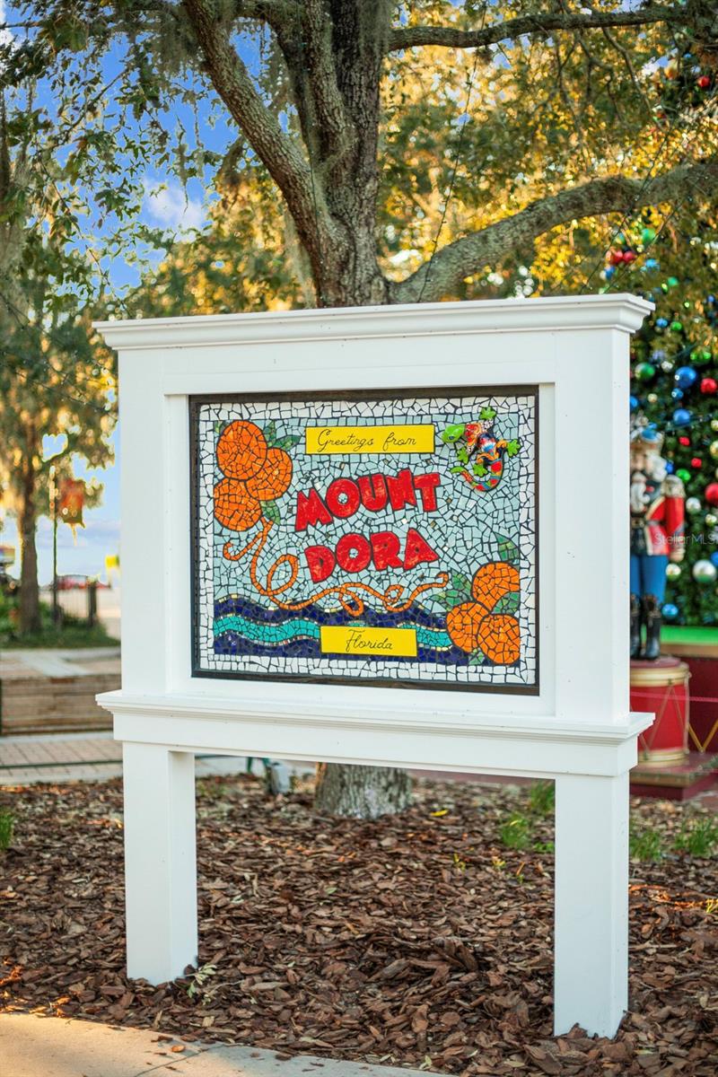 30106 CHEVAL ST, MOUNT DORA, FL, 32757