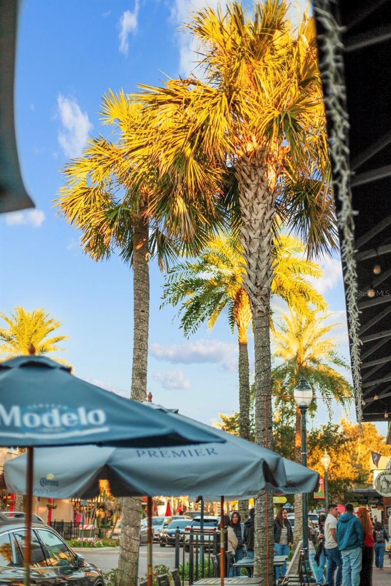 30106 CHEVAL ST, MOUNT DORA, FL, 32757