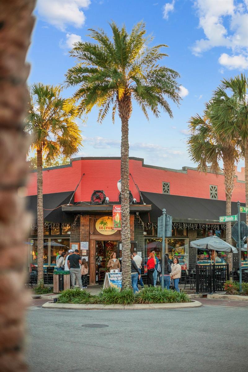 30106 CHEVAL ST, MOUNT DORA, FL, 32757