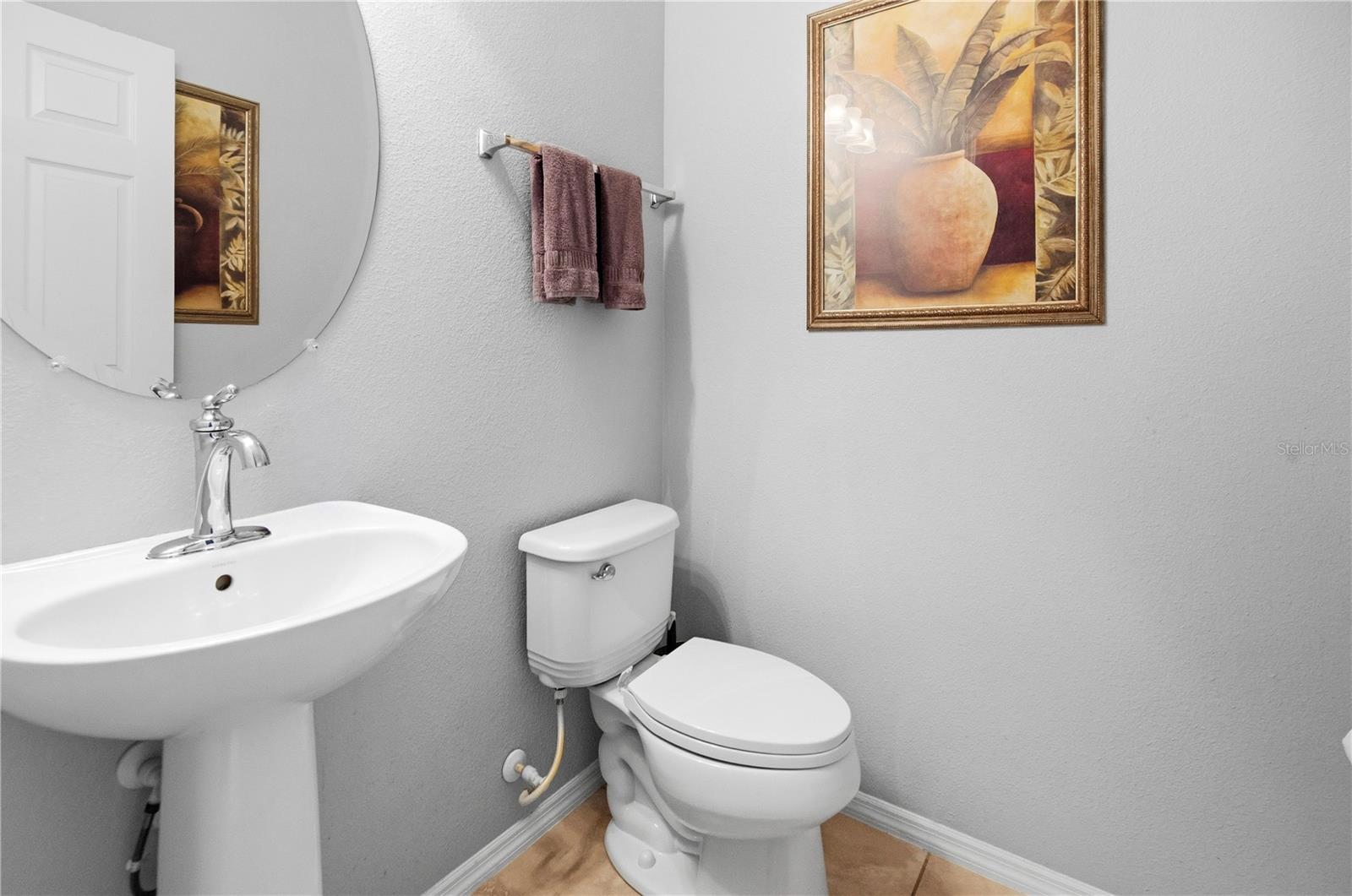 30106 CHEVAL ST, MOUNT DORA, FL, 32757