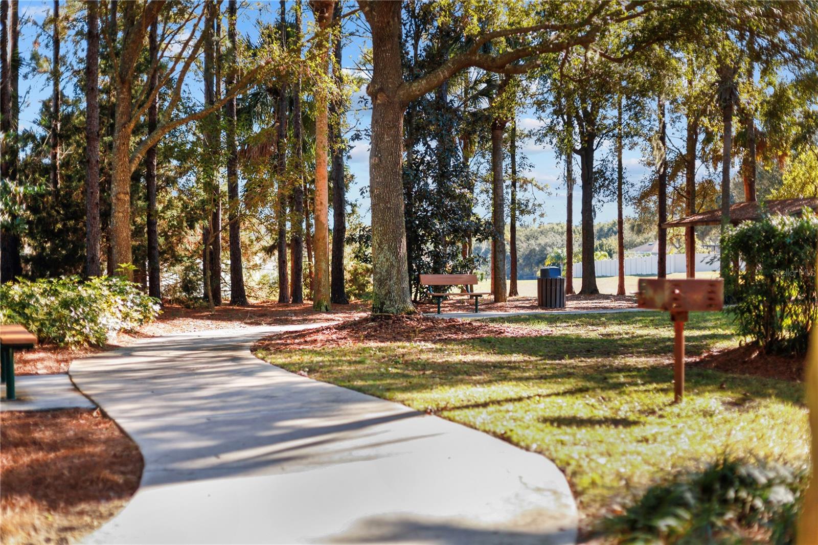 30106 CHEVAL ST, MOUNT DORA, FL, 32757