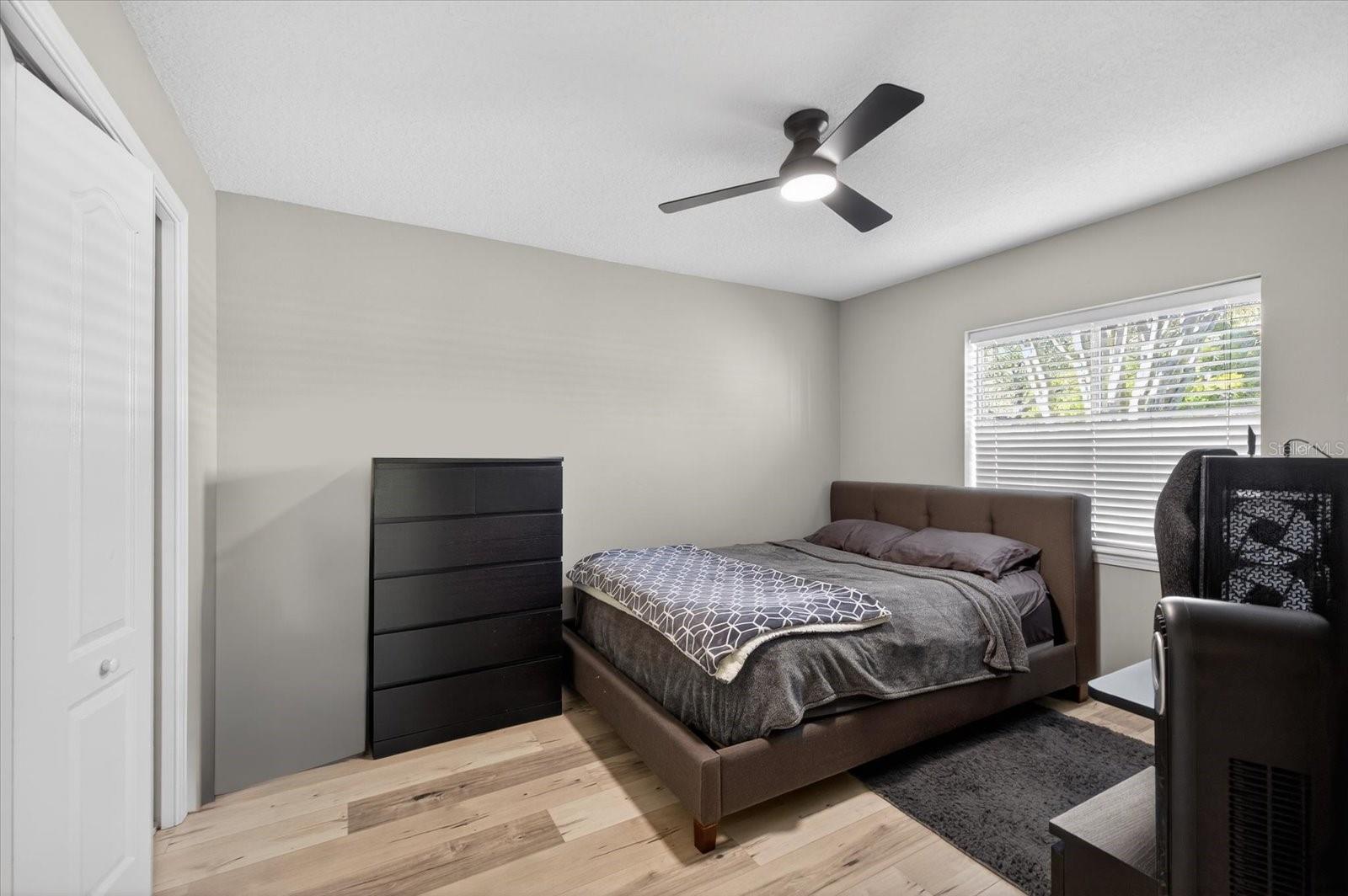3185 BURBERRY ST, TARPON SPRINGS, FL, 34688