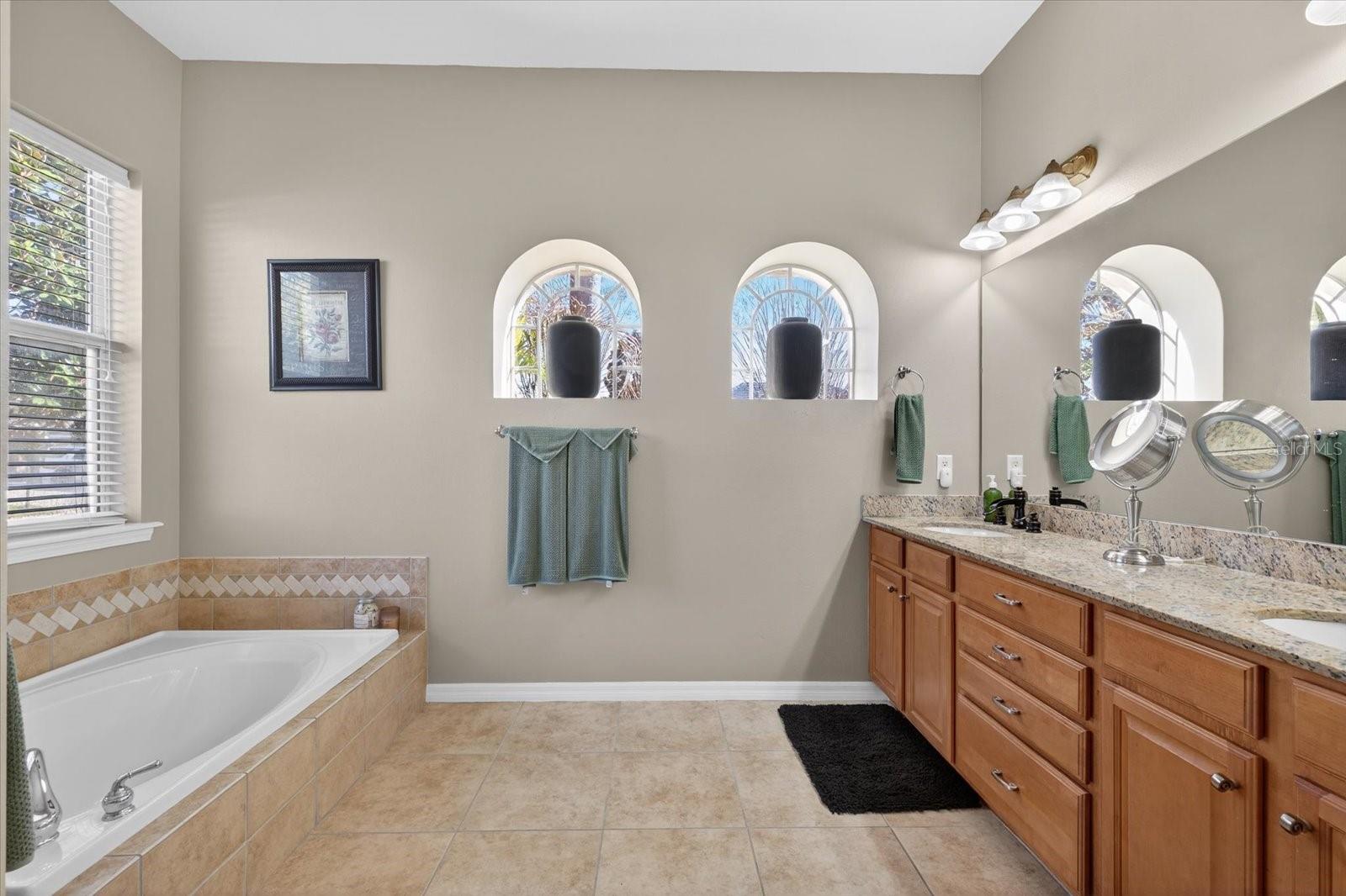 3185 BURBERRY ST, TARPON SPRINGS, FL, 34688