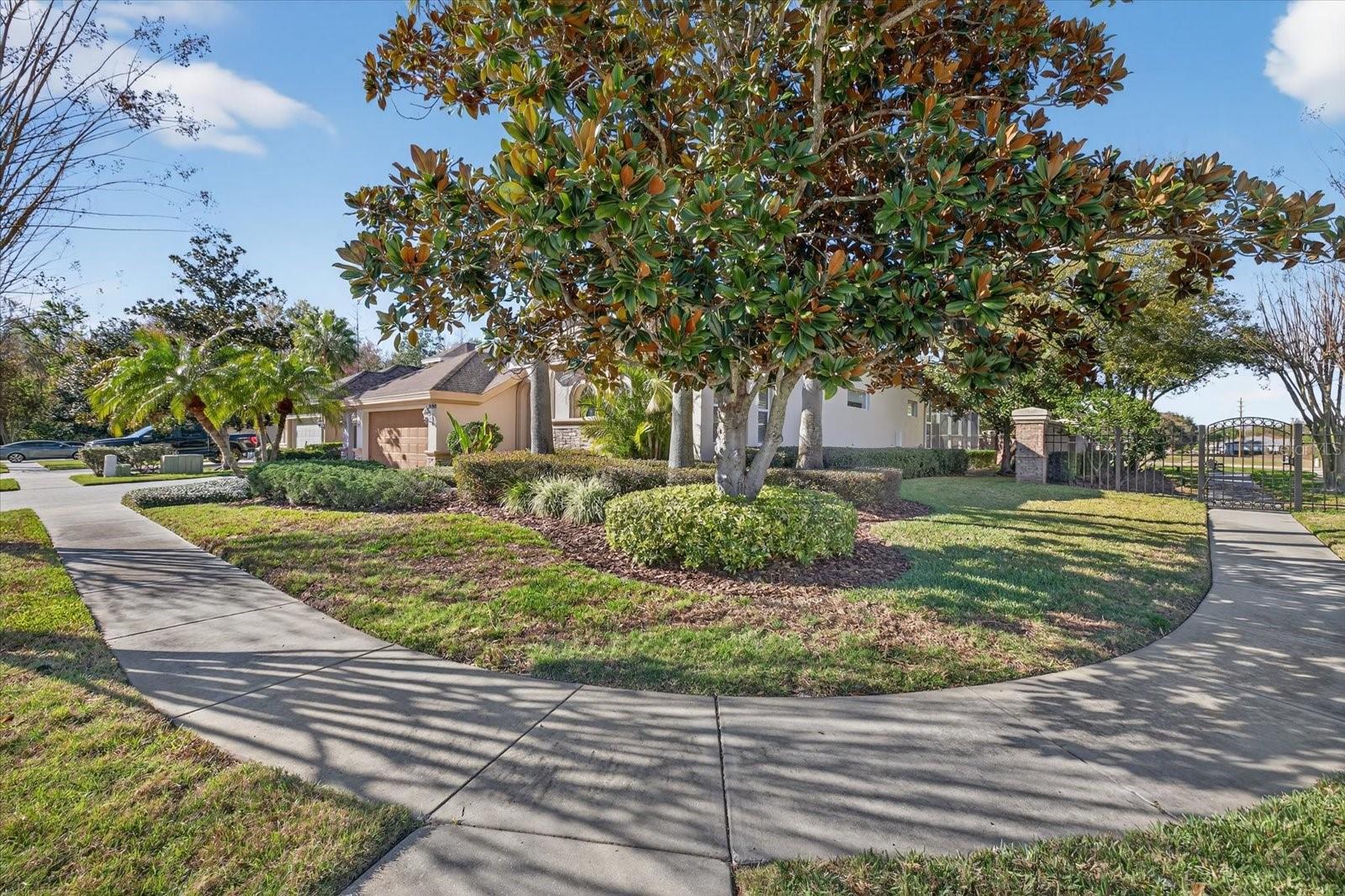 3185 BURBERRY ST, TARPON SPRINGS, FL, 34688
