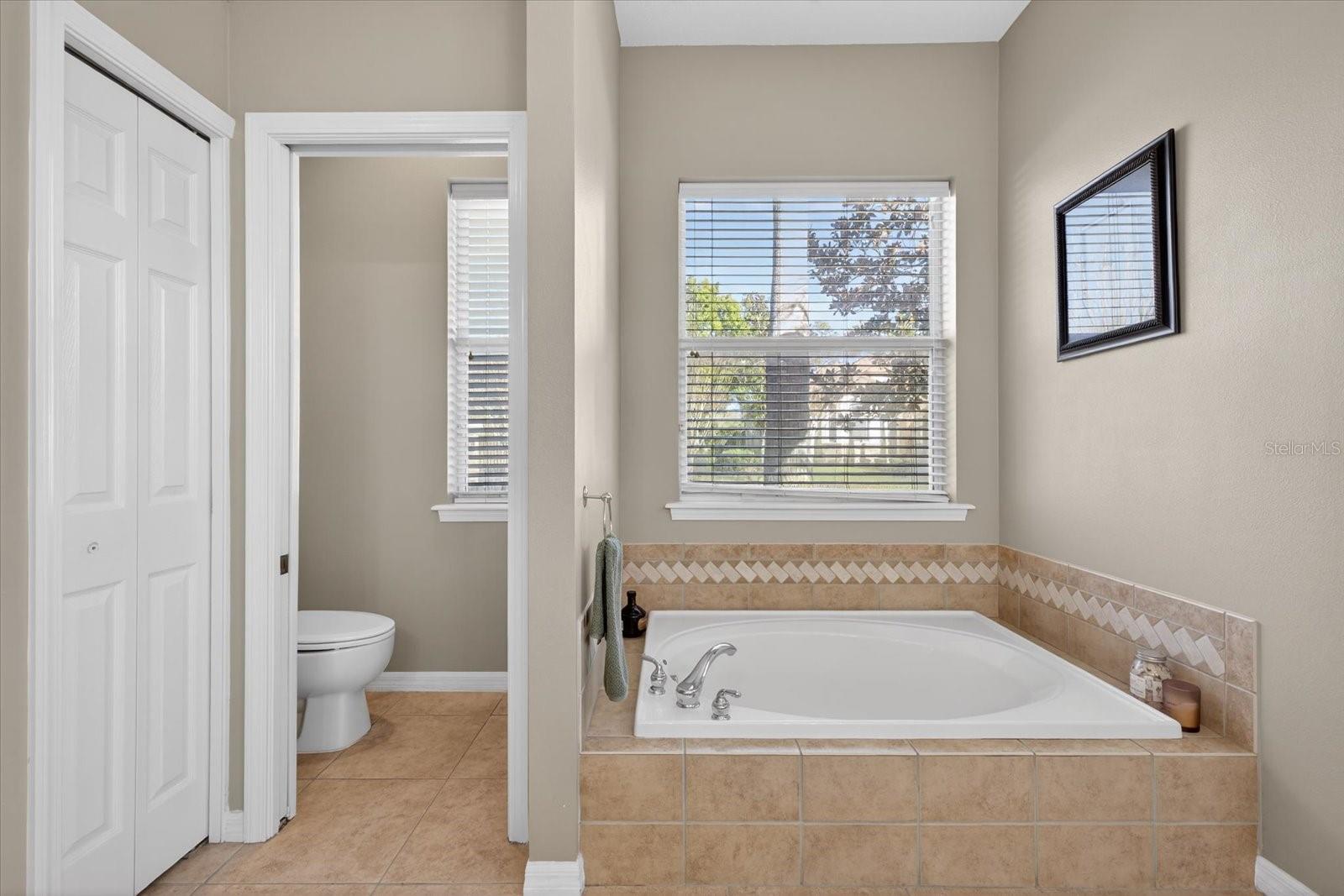 3185 BURBERRY ST, TARPON SPRINGS, FL, 34688
