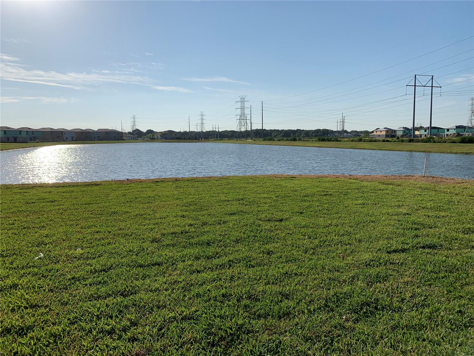 4412 SUMMER SAVORY ST, TAMPA, FL, 33619