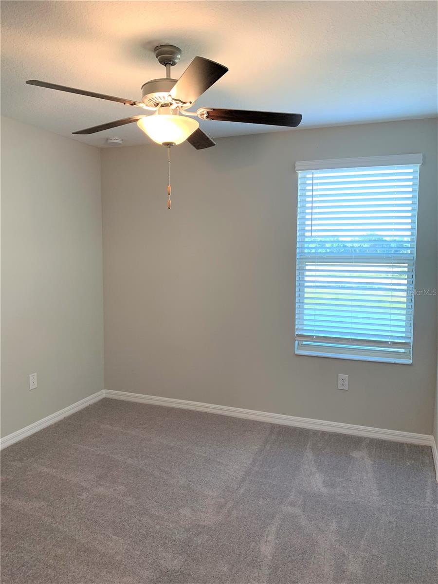 4412 SUMMER SAVORY ST, TAMPA, FL, 33619