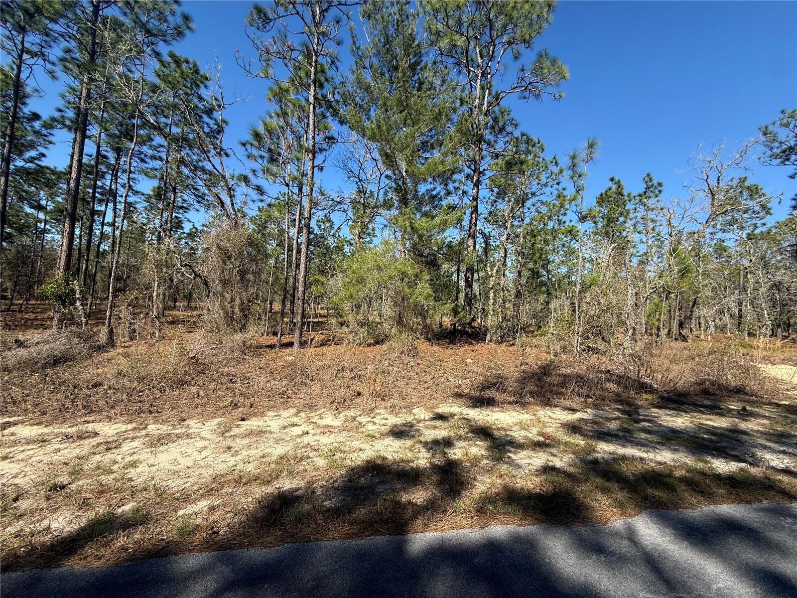 Lot 5 SE 130 CT, DUNNELLON, FL, 34431
