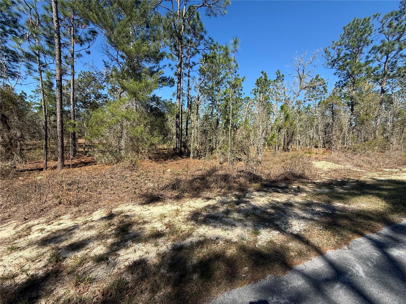 Lot 5 SE 130 CT, DUNNELLON, FL, 34431
