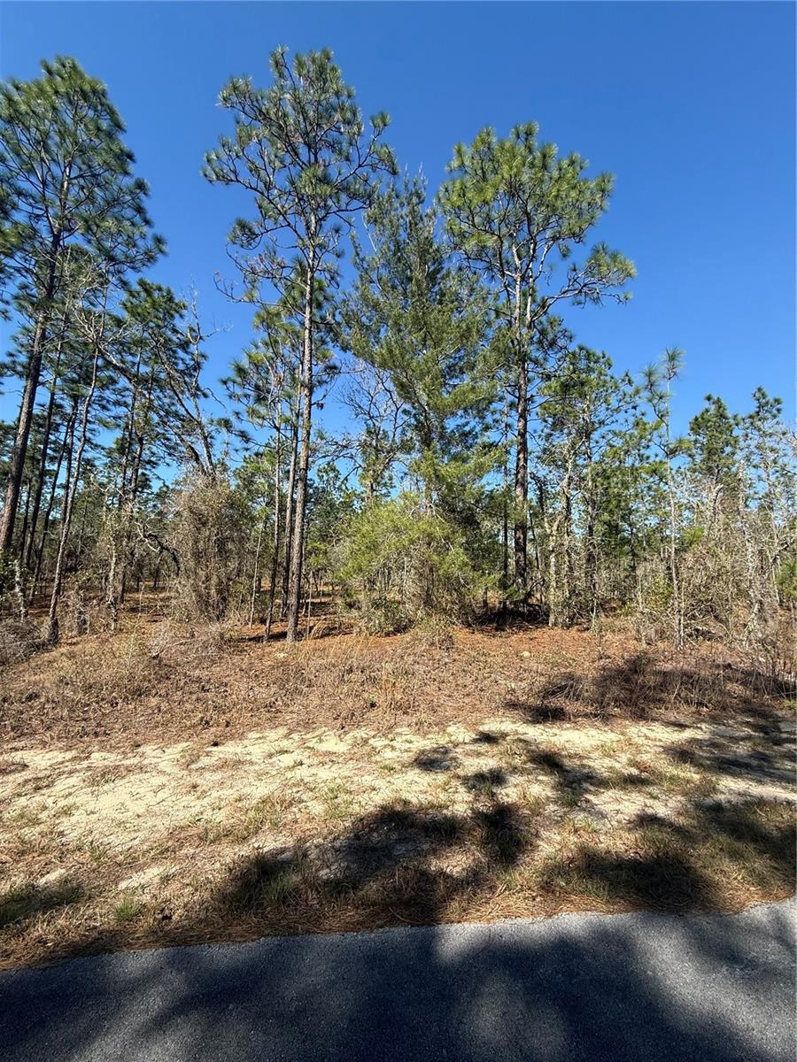 Lot 5 SE 130 CT, DUNNELLON, FL, 34431