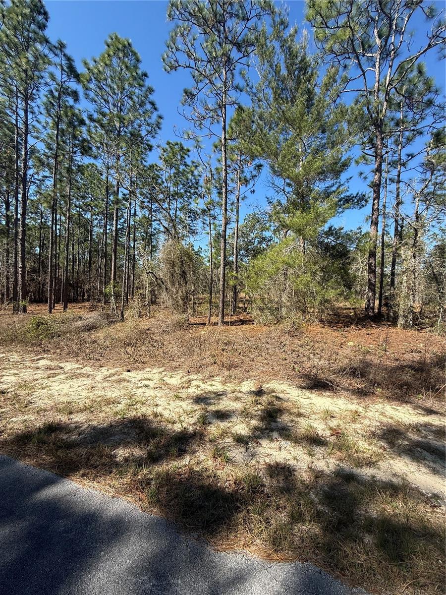 Lot 5 SE 130 CT, DUNNELLON, FL, 34431