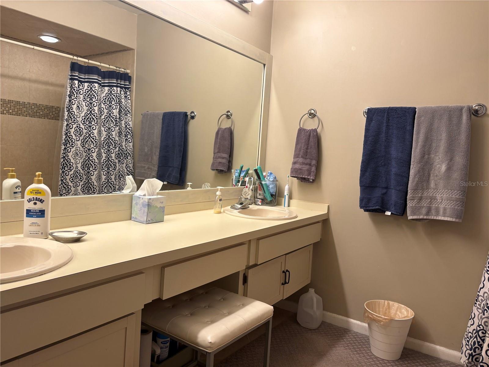 811 OAK PARK PL, BRANDON, FL, 33511