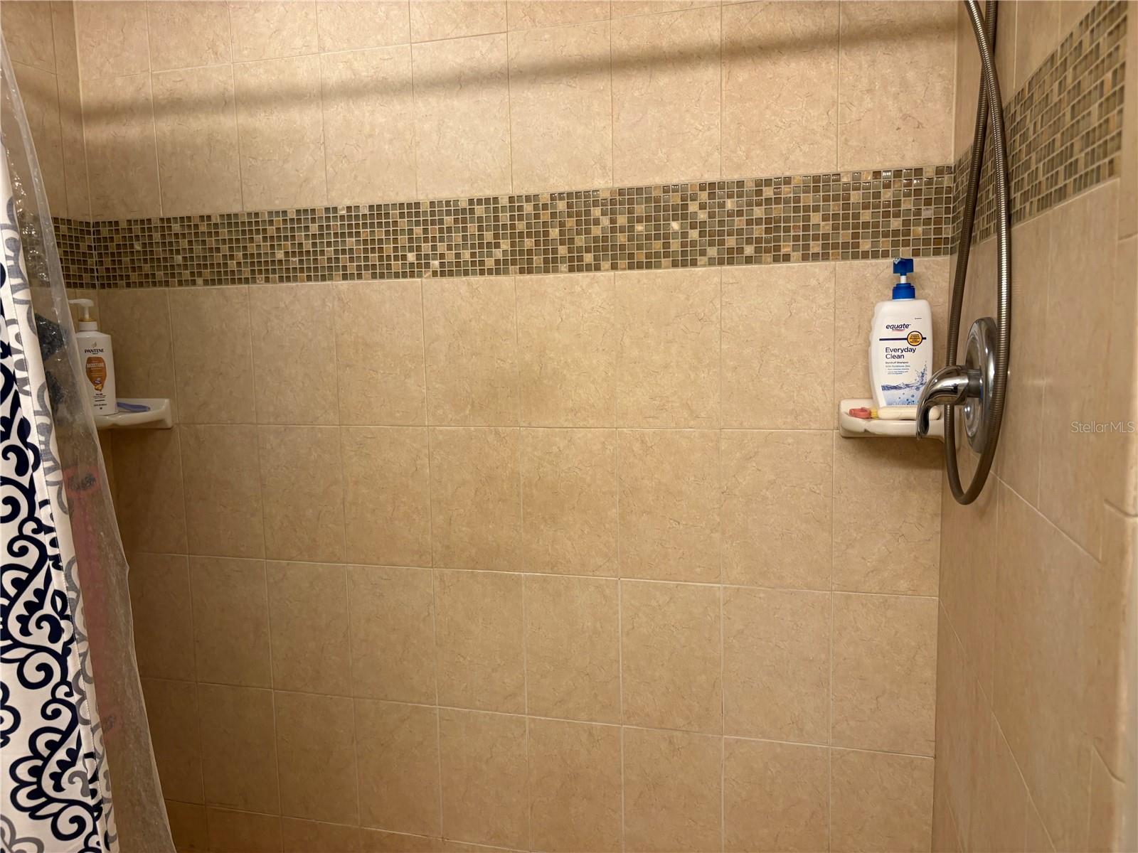 811 OAK PARK PL, BRANDON, FL, 33511