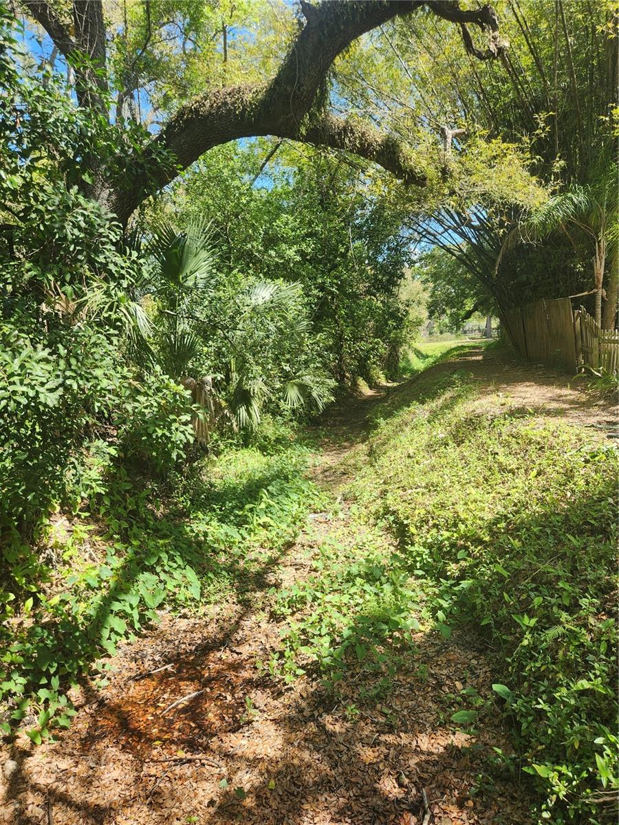 504 BELMONT ST, SAFETY HARBOR, FL, 34695