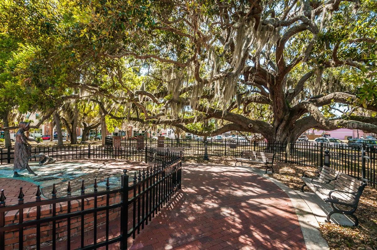 504 BELMONT ST, SAFETY HARBOR, FL, 34695