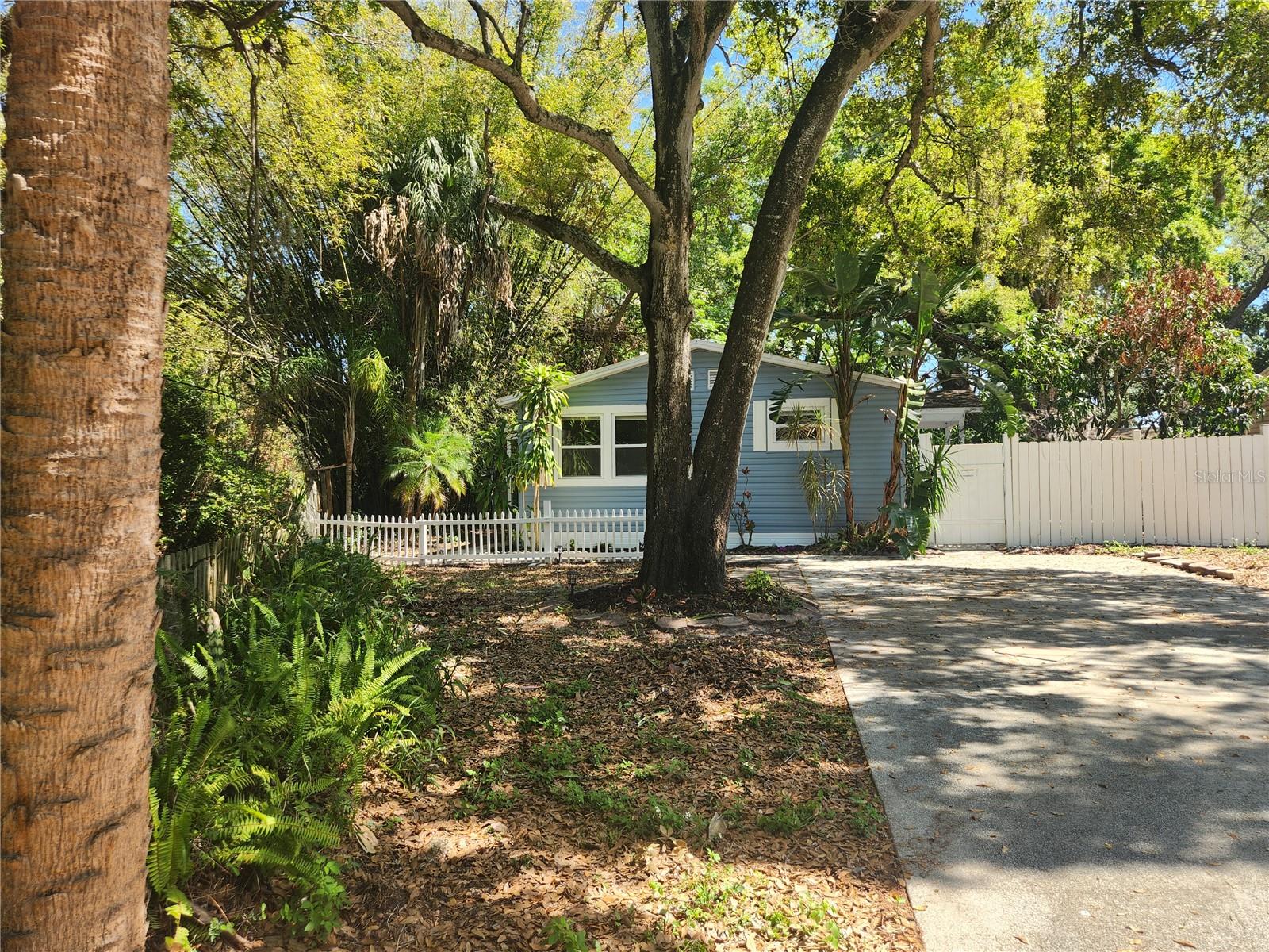 504 BELMONT ST, SAFETY HARBOR, FL, 34695