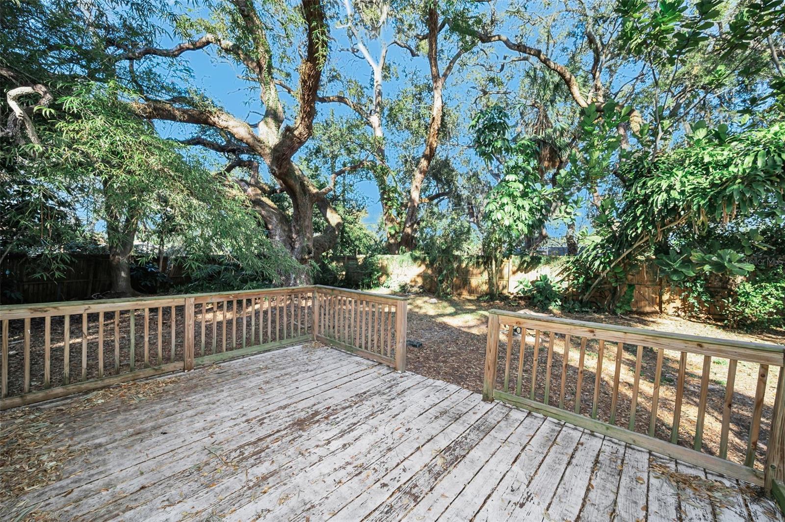 504 BELMONT ST, SAFETY HARBOR, FL, 34695