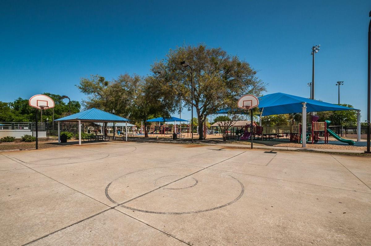 504 BELMONT ST, SAFETY HARBOR, FL, 34695