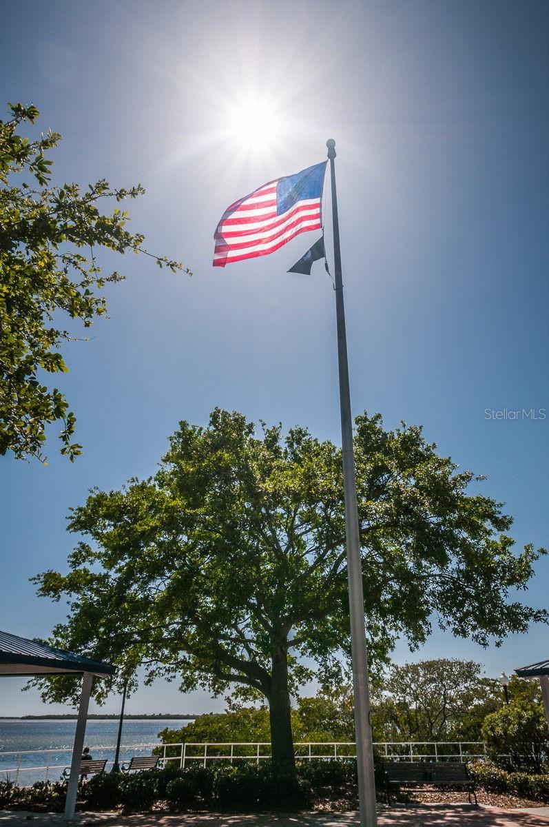 504 BELMONT ST, SAFETY HARBOR, FL, 34695