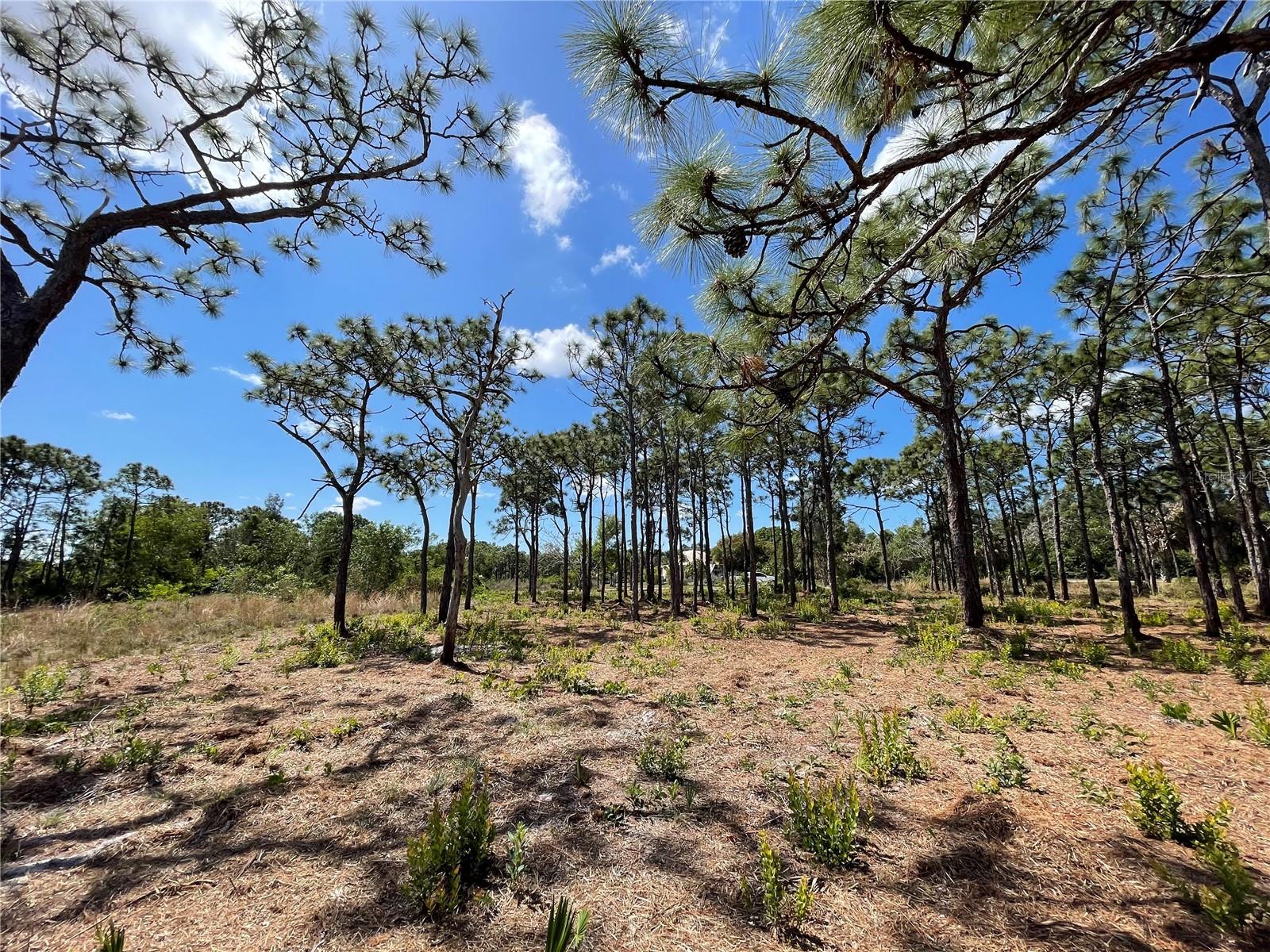 6438 FULLER DR, BOKEELIA, FL, 33922