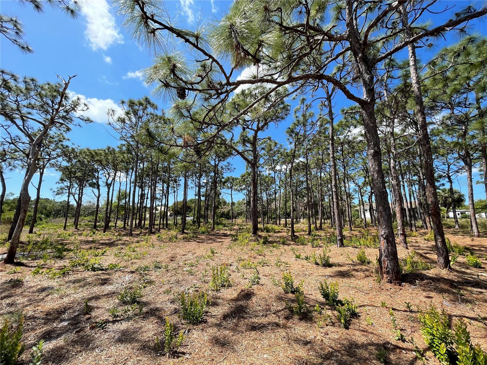 6438 FULLER DR, BOKEELIA, FL, 33922