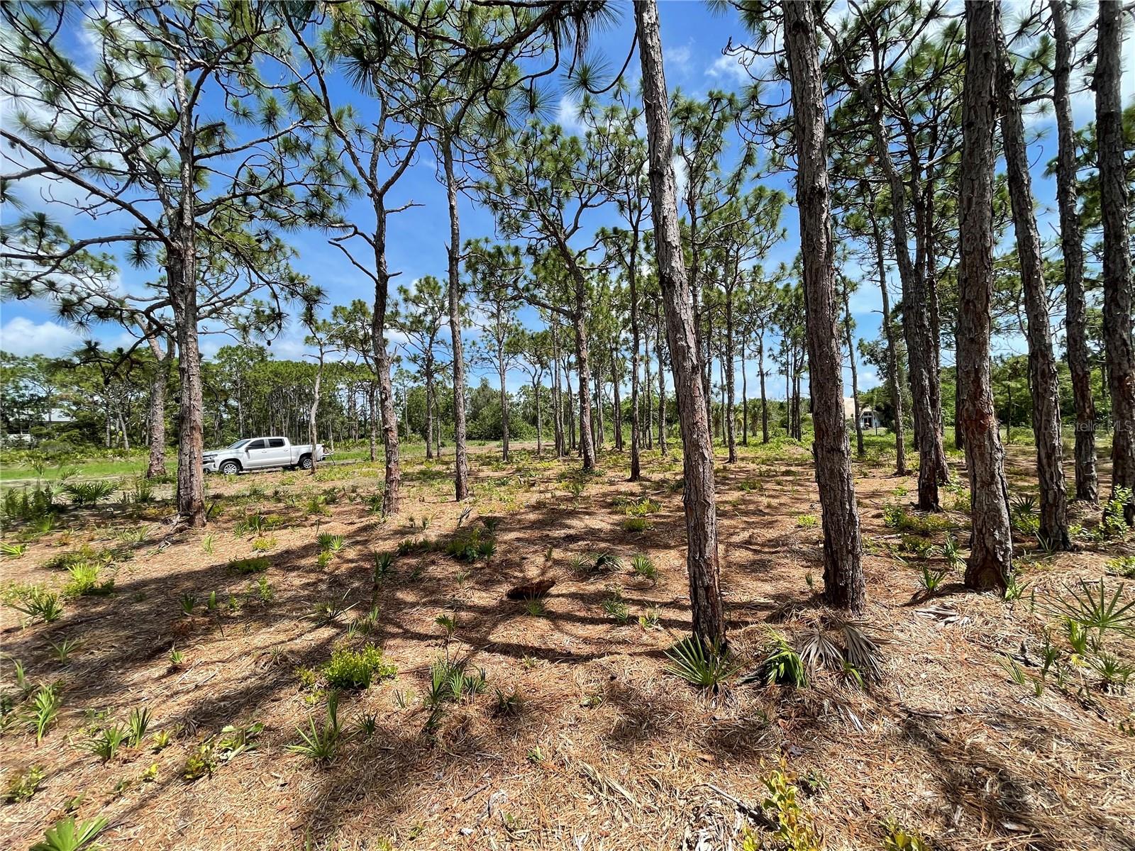 6438 FULLER DR, BOKEELIA, FL, 33922