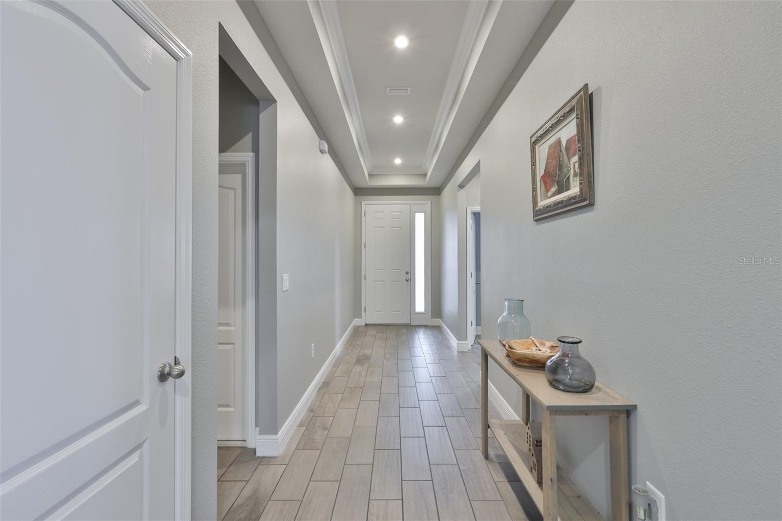 11718 LAKE LUCAYA DR, RIVERVIEW, FL, 33579