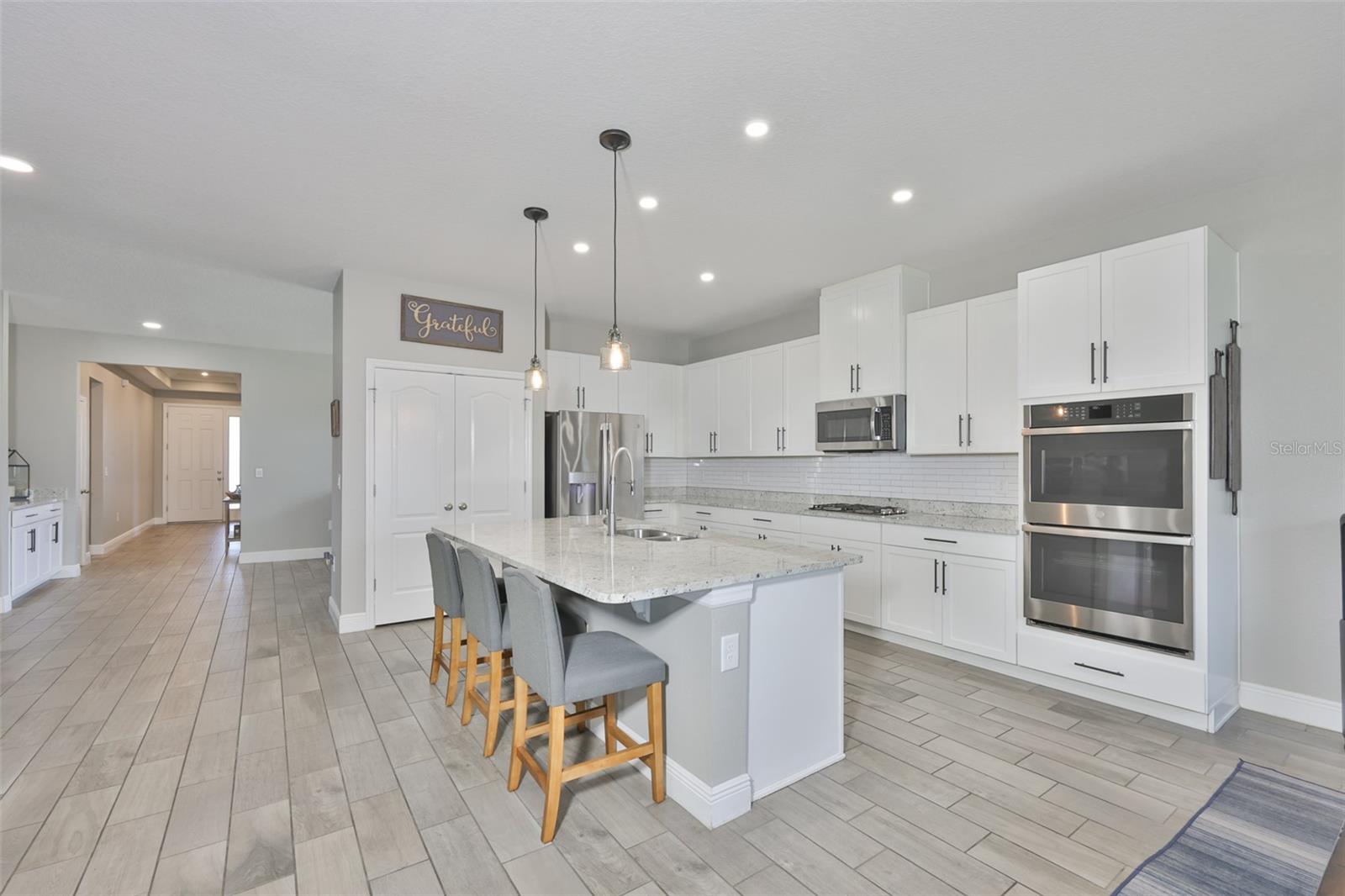 11718 LAKE LUCAYA DR, RIVERVIEW, FL, 33579